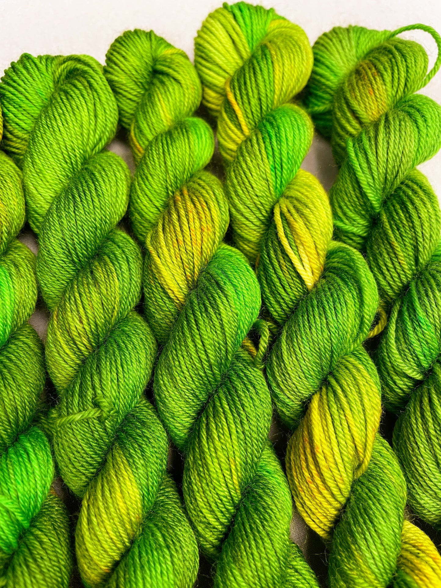 20g Sock Parakeet Mini Skein