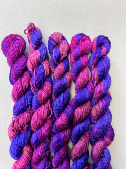 20g Sock Plum Jam Mini Skein