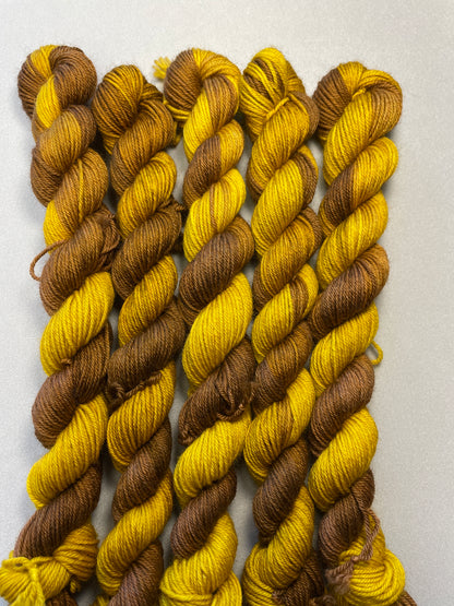 20g Sock Salted Caramel Mini Skein