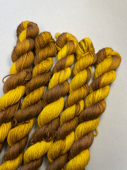 20g Sock Salted Caramel Mini Skein