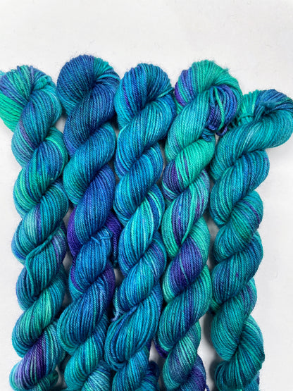 20g DK Seascape Mini Skein
