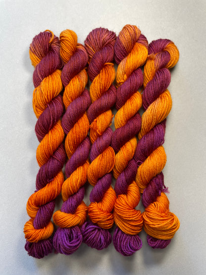 20g Sock Spiced Mulberry Mini Skein