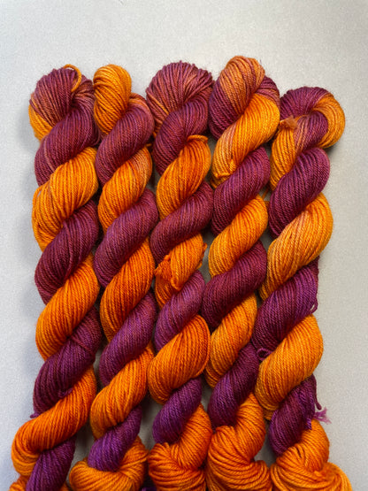 20g Sock Spiced Mulberry Mini Skein