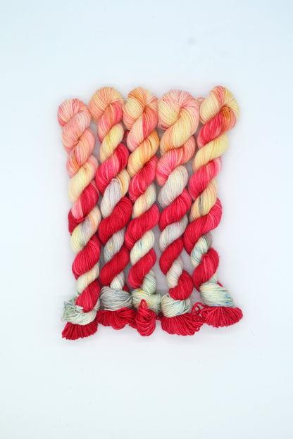 20g Sock Strawberries 'n' Cream Mini Skein