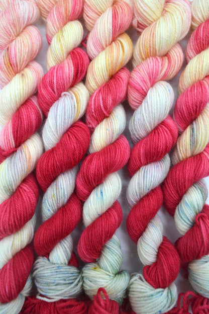 20g Sock Strawberries 'n' Cream Mini Skein