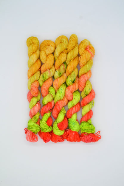 20g Sock Summer Watermelon Mini Skein
