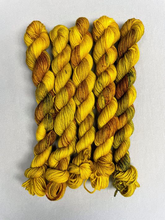 20g Sock Sunflower Seeds Mini Skein