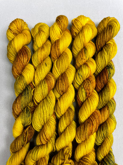 20g Sock Sunflower Seeds Mini Skein