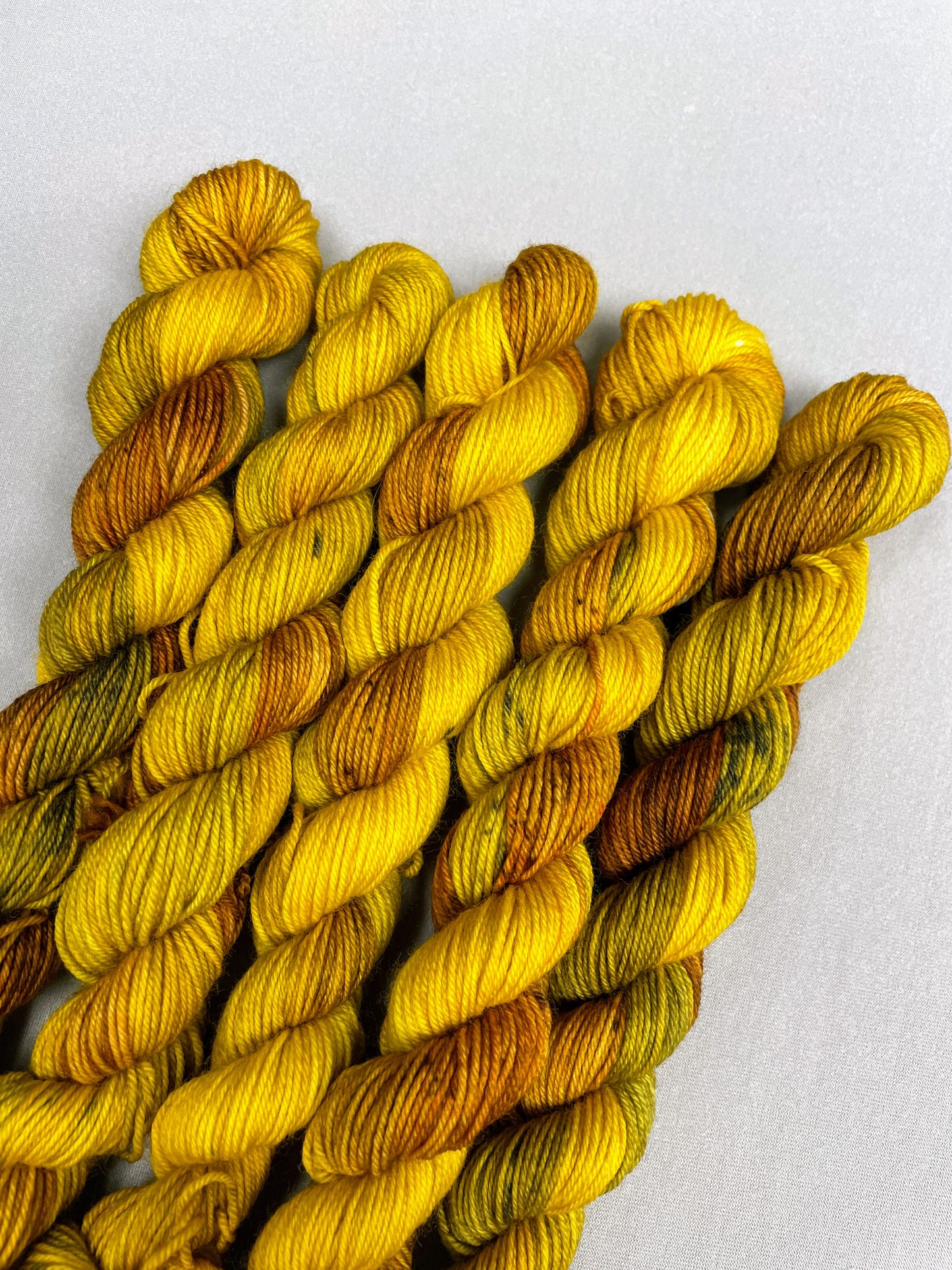 20g Sock Sunflower Seeds Mini Skein