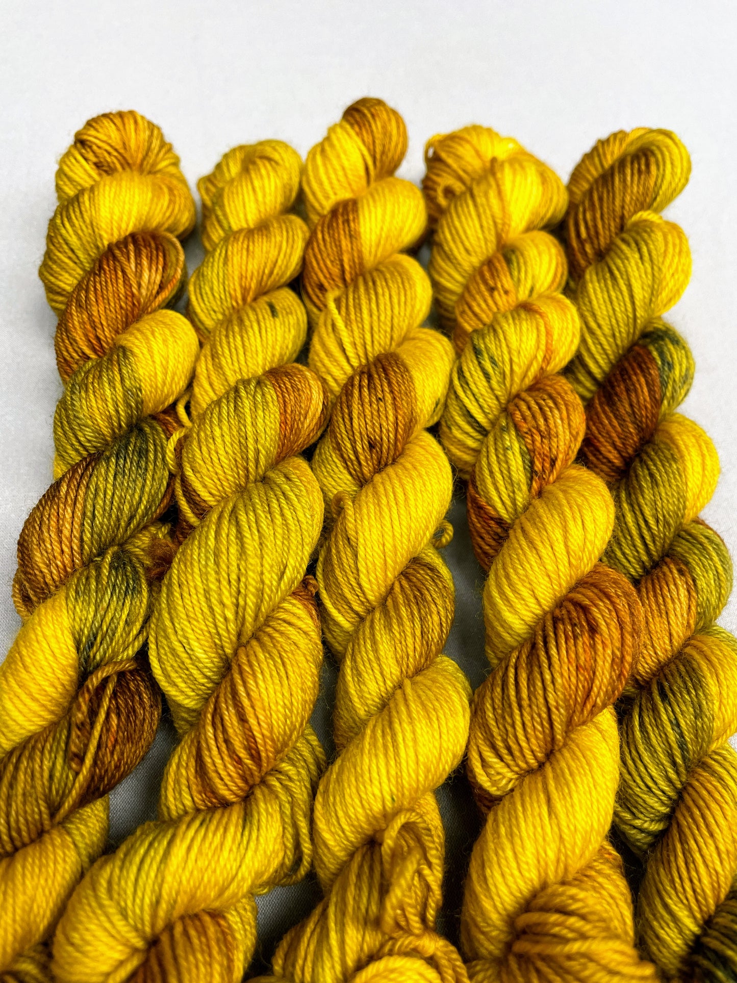 20g Sock Sunflower Seeds Mini Skein