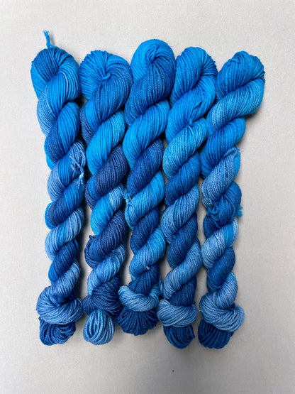20g Sock Waves 2.0 Mini Skein