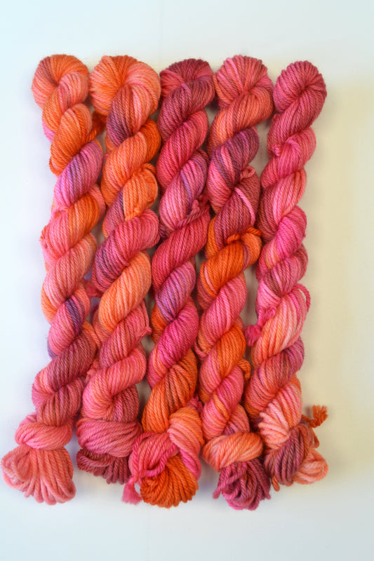 20g DK Fizzy Cherries Mini Skein
