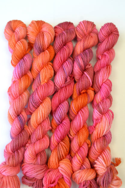 20g DK Fizzy Cherries Mini Skein