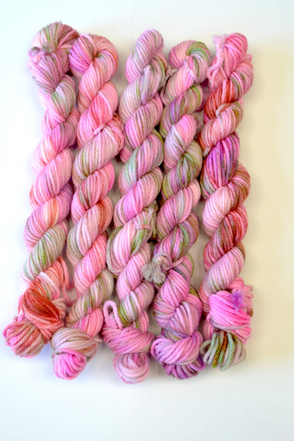 20g DK Summer Spells Mini Skein