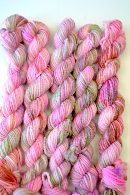 20g DK Summer Spells Mini Skein