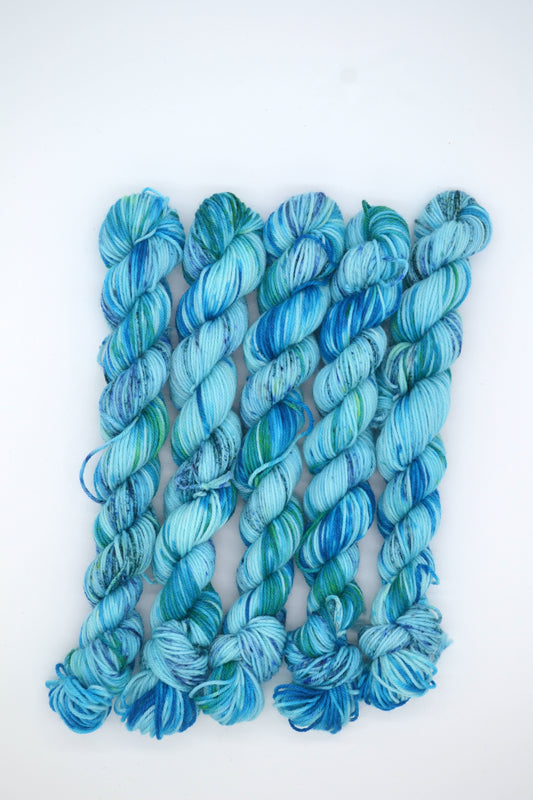 20g Sock Glacier Mini Skein