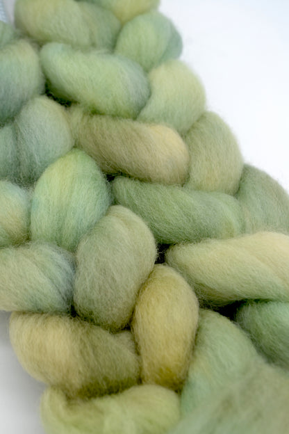 Corriedale - Smashed Avocado 100g Hand-dyed Fibre