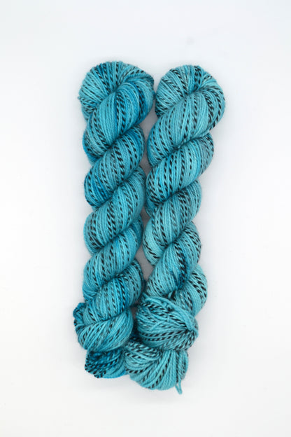 100g DK Zebra Reservoir Hand-dyed Yarn