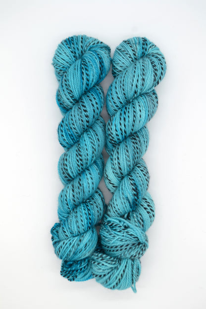 100g DK Zebra Reservoir Hand-dyed Yarn