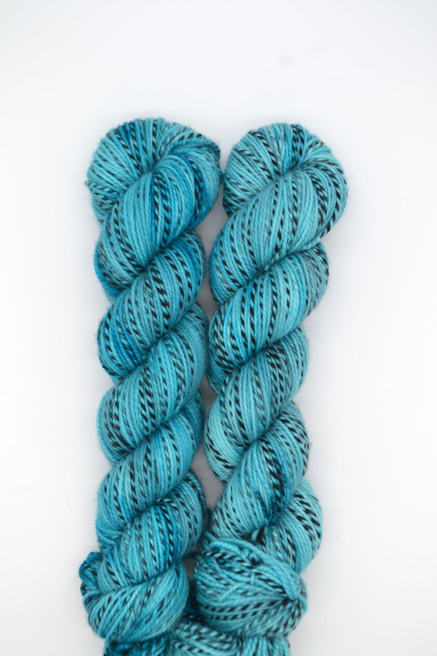 100g DK Zebra Reservoir Hand-dyed Yarn
