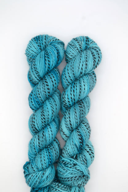 100g DK Zebra Reservoir Hand-dyed Yarn