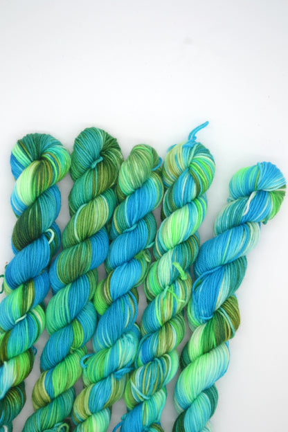 20g Sock Paradise Waters Mini Skein