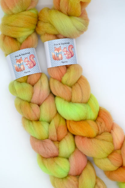 BFL - Harvest Festival 100g Hand-dyed Fibre
