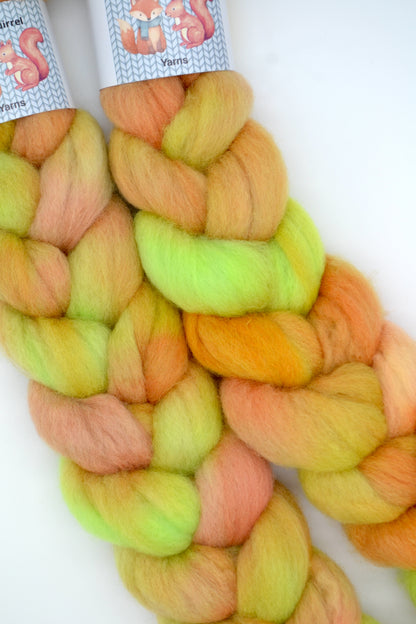 BFL - Harvest Festival 100g Hand-dyed Fibre