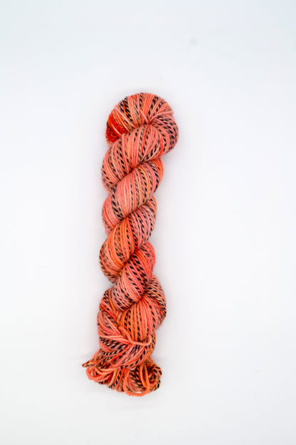 100g DK Zebra Soft Glow Hand-dyed Yarn