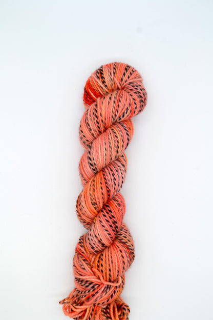 100g DK Zebra Soft Glow Hand-dyed Yarn