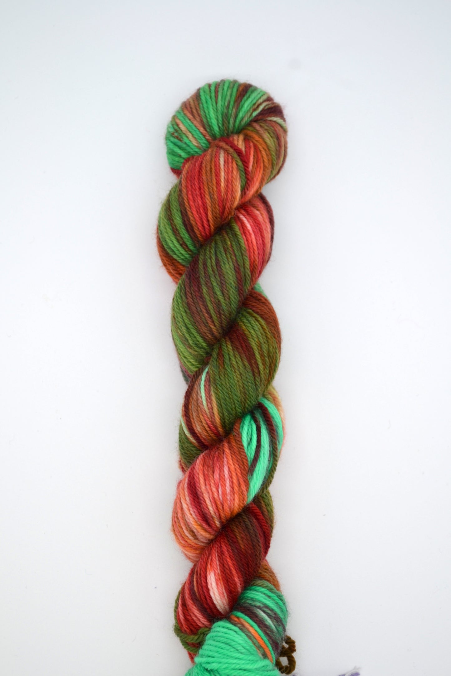 50g DK Conifer Canopy Hand-dyed Yarn