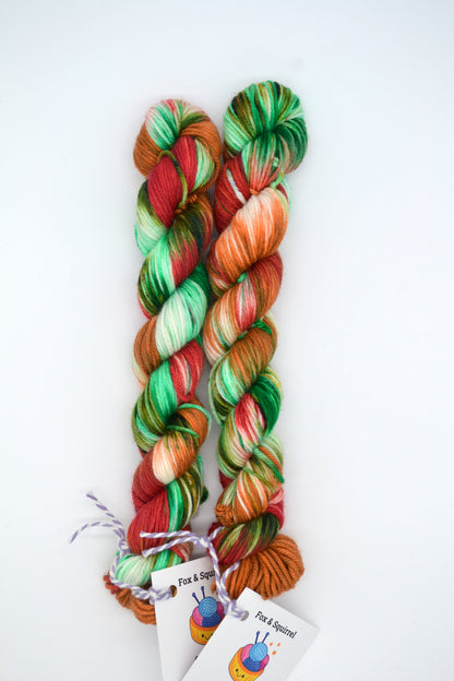 50g DK Woodland Walks Hand-dyed Yarn