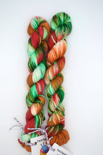50g DK Woodland Walks Hand-dyed Yarn