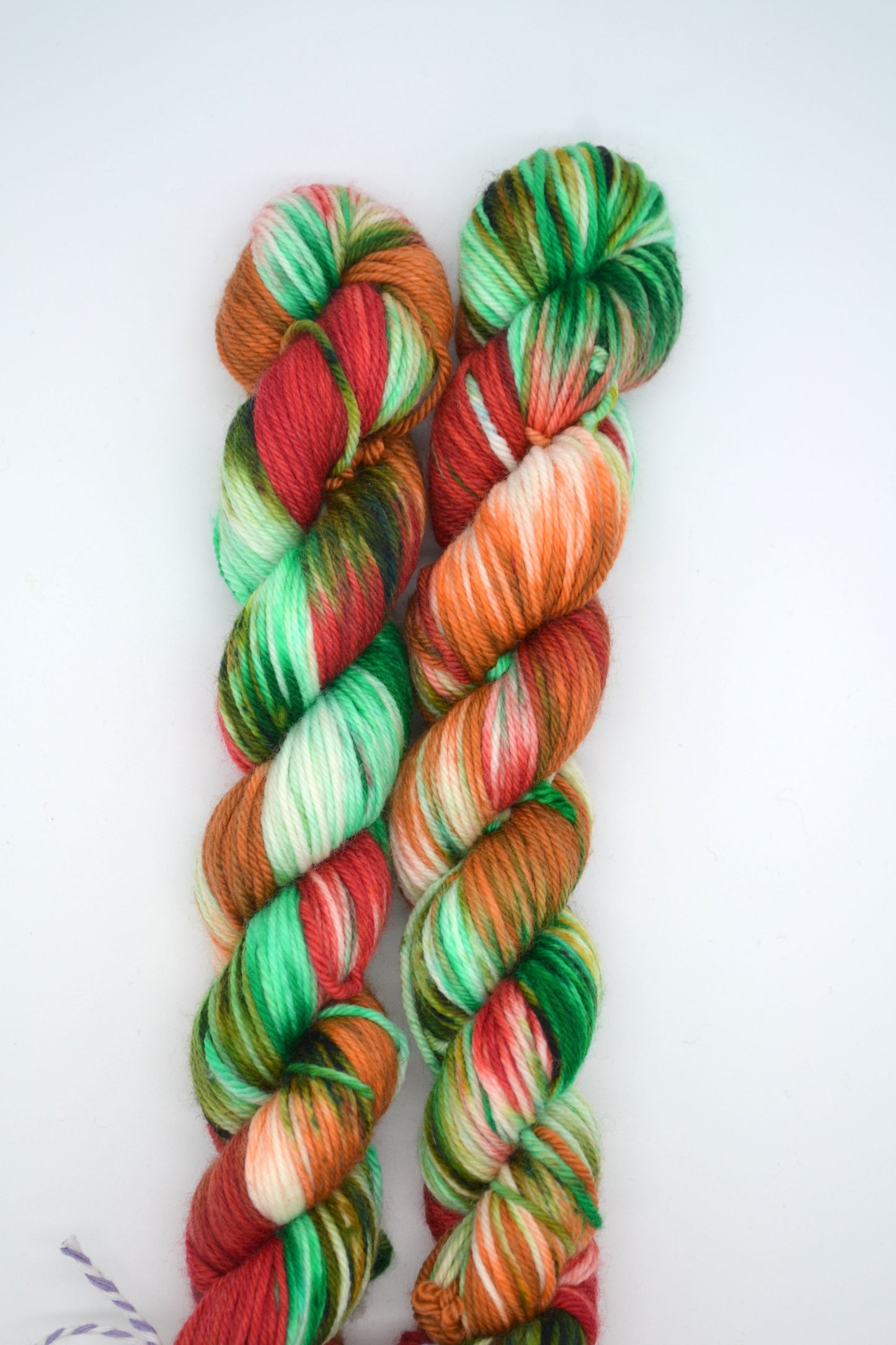 50g DK Woodland Walks Hand-dyed Yarn