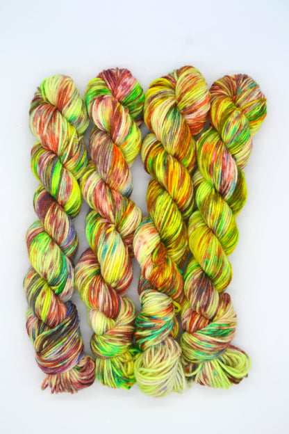 50g DK Little Monsters Hand-dyed Yarn