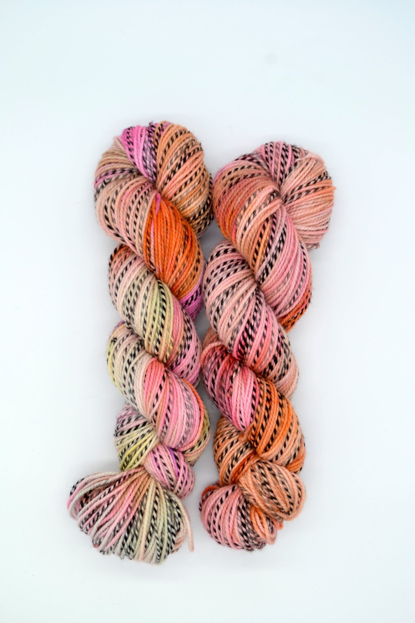 100g DK Zebra Pastel Pop! Hand-dyed Yarn