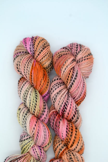 100g DK Zebra Pastel Pop! Hand-dyed Yarn