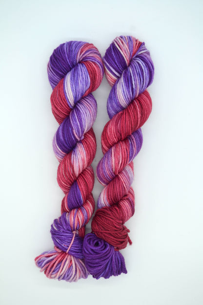 50g DK Forest Fruits Hand-dyed Yarn