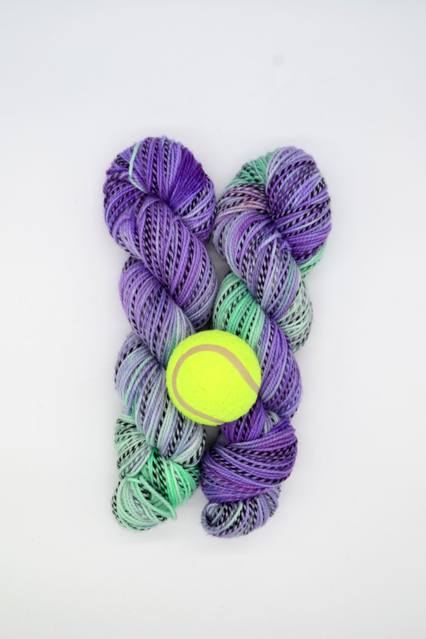 100g DK Zebra Game/Set/Match! Hand-dyed Yarn