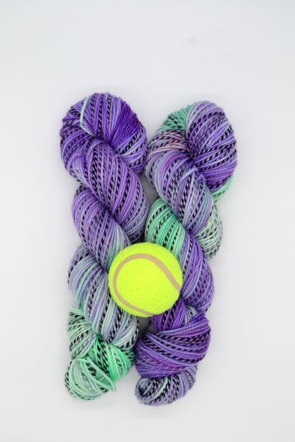 100g DK Zebra Game/Set/Match! Hand-dyed Yarn