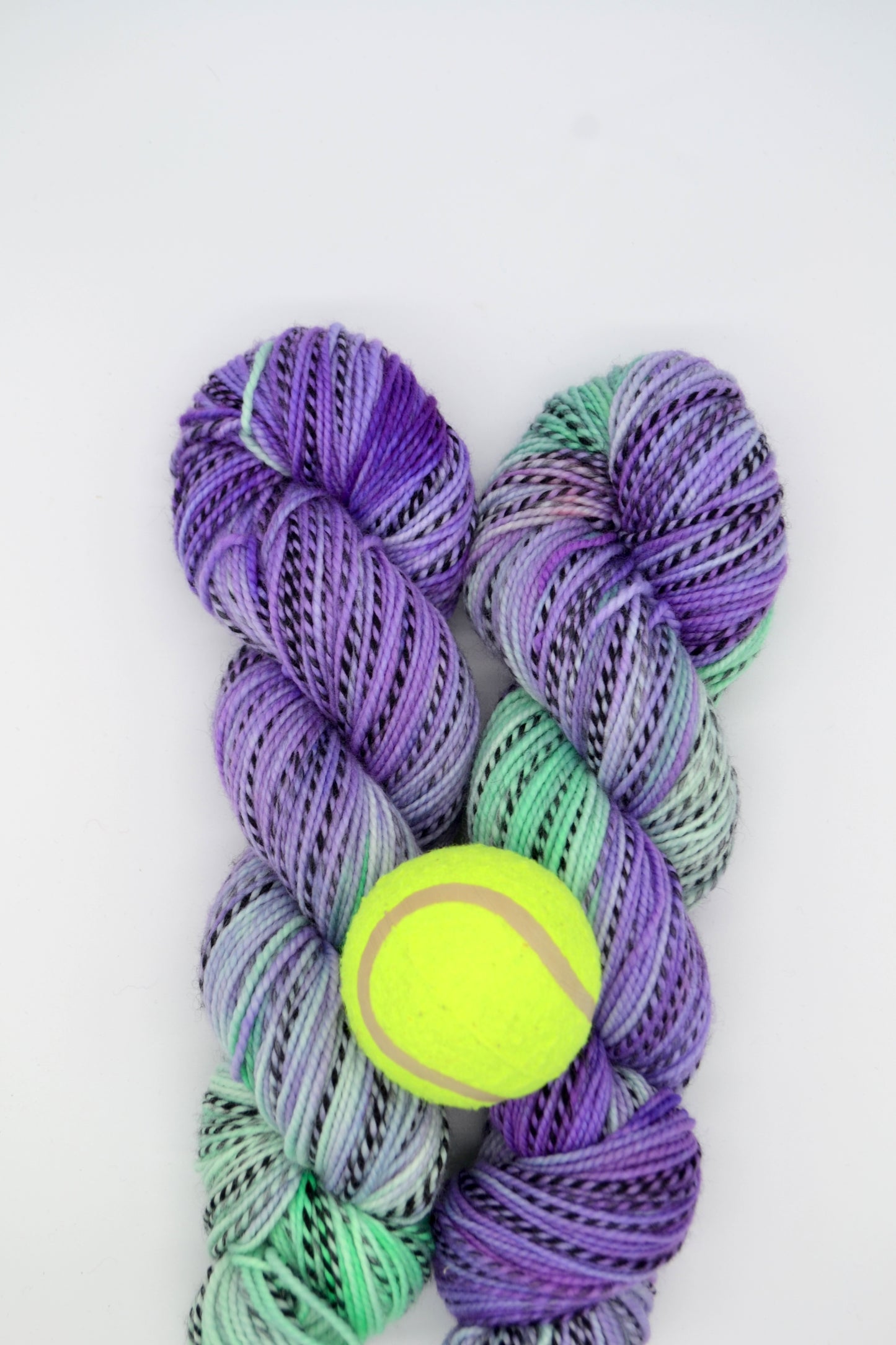 100g DK Zebra Game/Set/Match! Hand-dyed Yarn