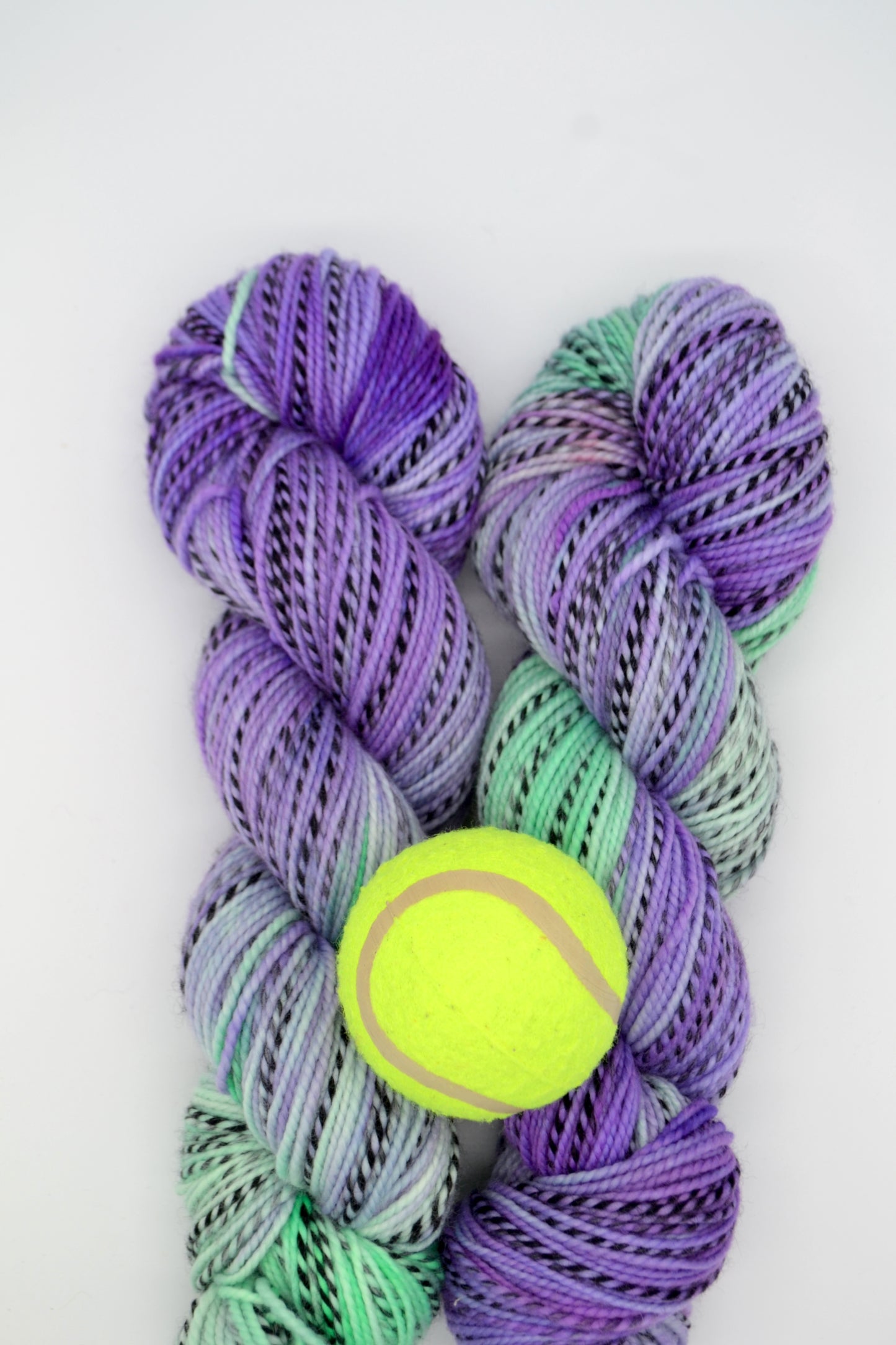 100g DK Zebra Game/Set/Match! Hand-dyed Yarn