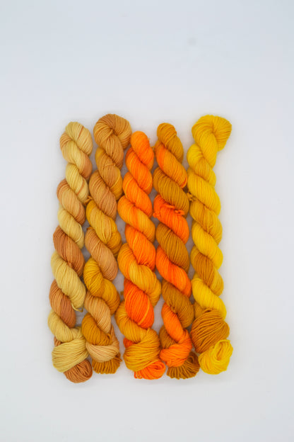 20g 4ply BFL - Golden Threads Mini Skein Set