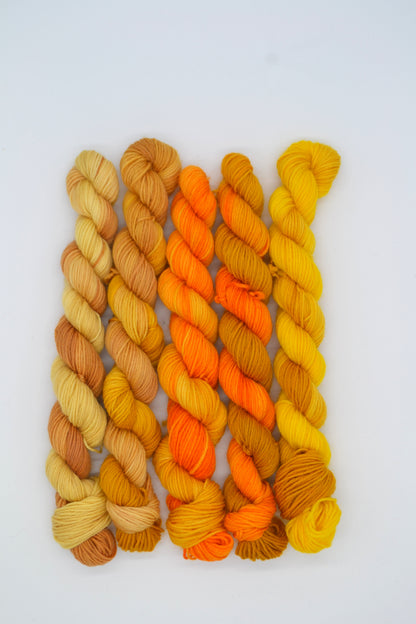 20g 4ply BFL - Golden Threads Mini Skein Set