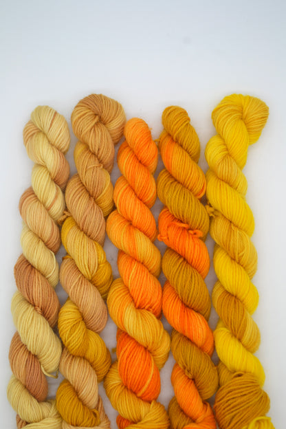 20g 4ply BFL - Golden Threads Mini Skein Set