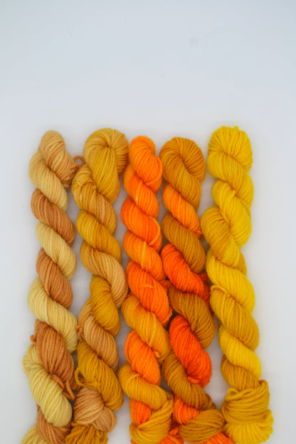 20g DK BFL - Golden Threads Mini Skein Set