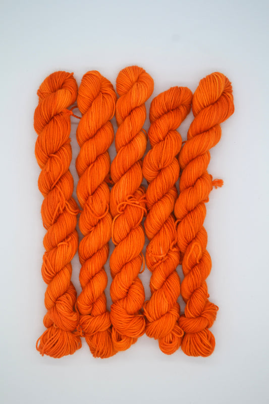 20g Sock Summer Sunshine Mini Skein
