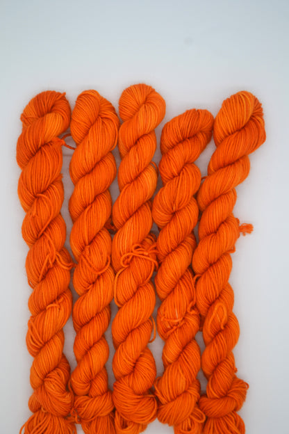 20g Sock Summer Sunshine Mini Skein