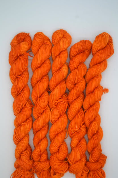 20g Sock Summer Sunshine Mini Skein
