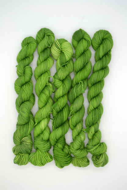 20g Sock Picnic Spot Mini Skein